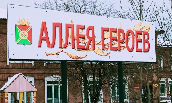 Фото библиографа  Я.А. Ветчановой, 03.03.2018.